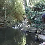 Suite Dos Passaros